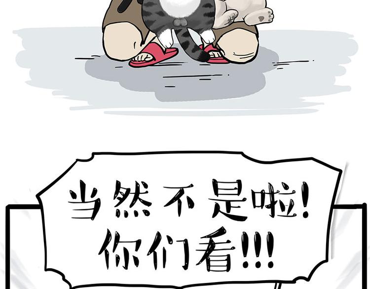 第275话 吾皇过生日了26
