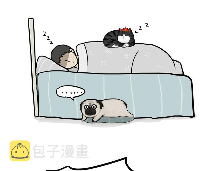 第75话 猫奴被嫌弃了30