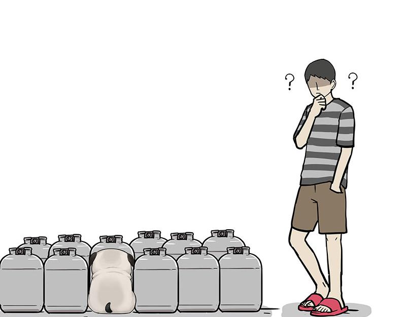 第394话 养狗指南3