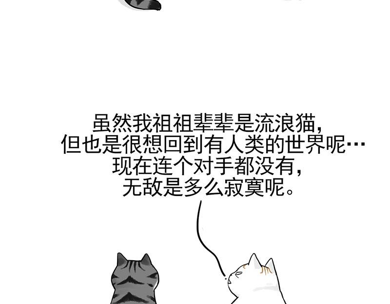 第322话 吾皇的孙子8