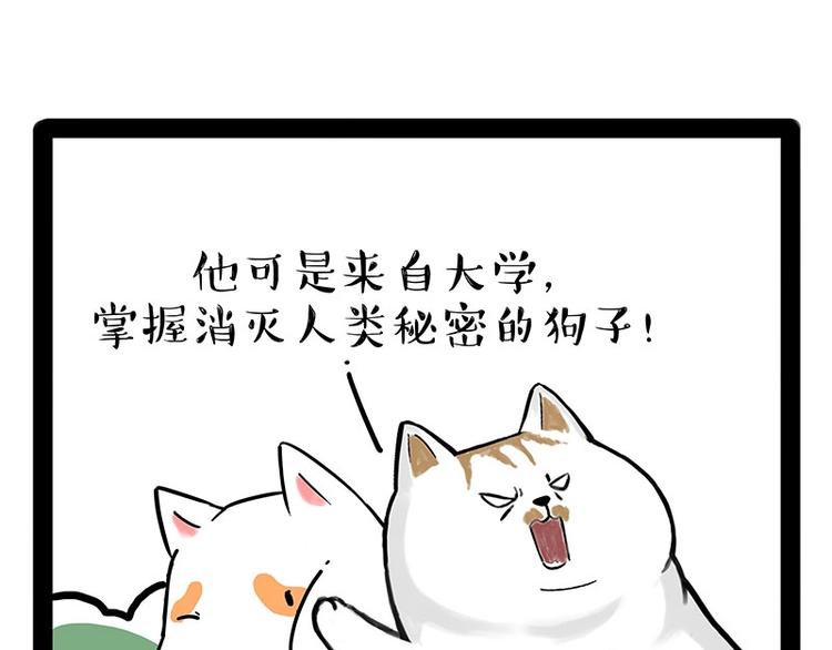 第184话 牛能的烦恼50