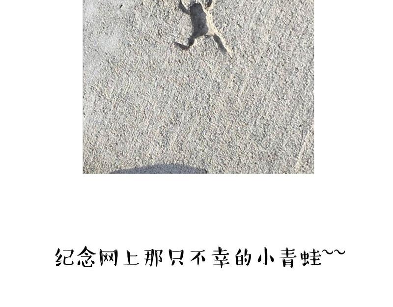 第299话 真假虚实103