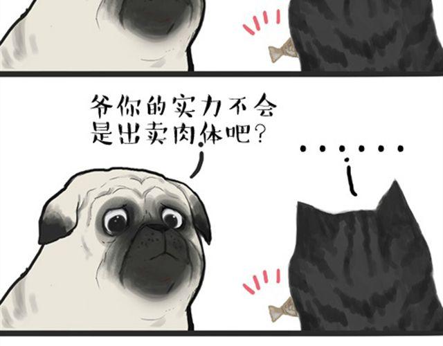 第16话 我家猫怎么能牺牲色相4