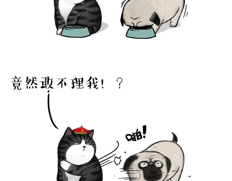 第114话 一只狗18
