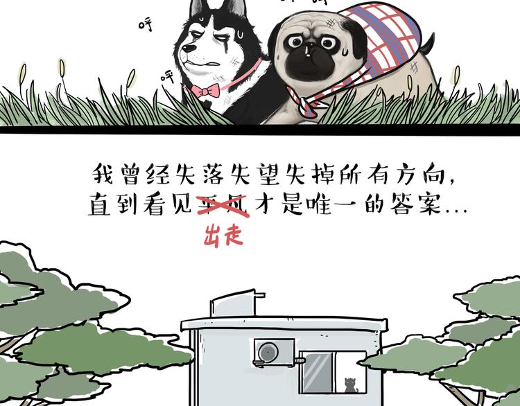 第116话 离家出走17