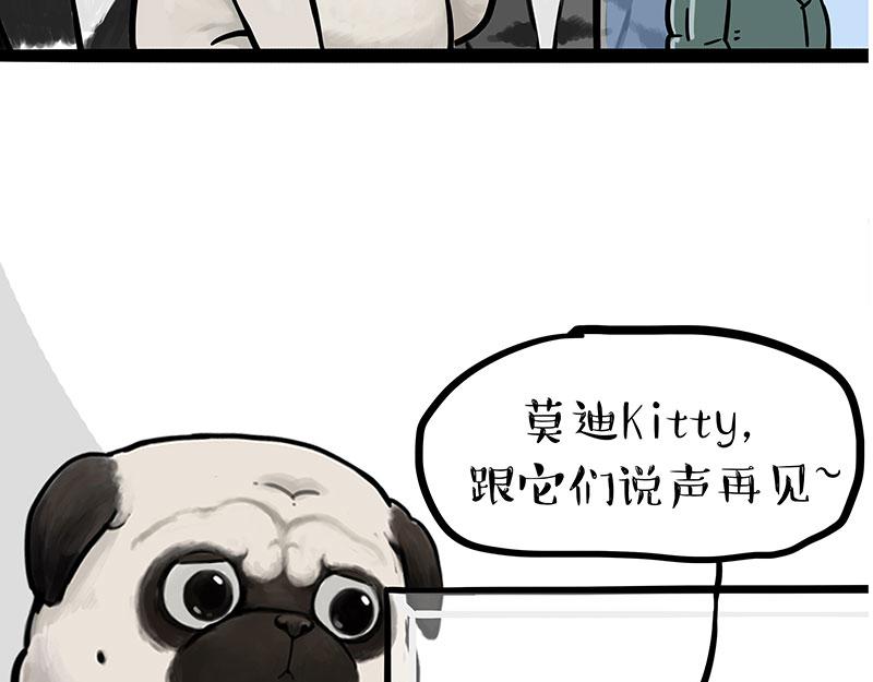 第299话 真假虚实53