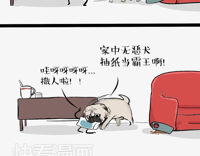 第29话 就算高考也要铲屎21