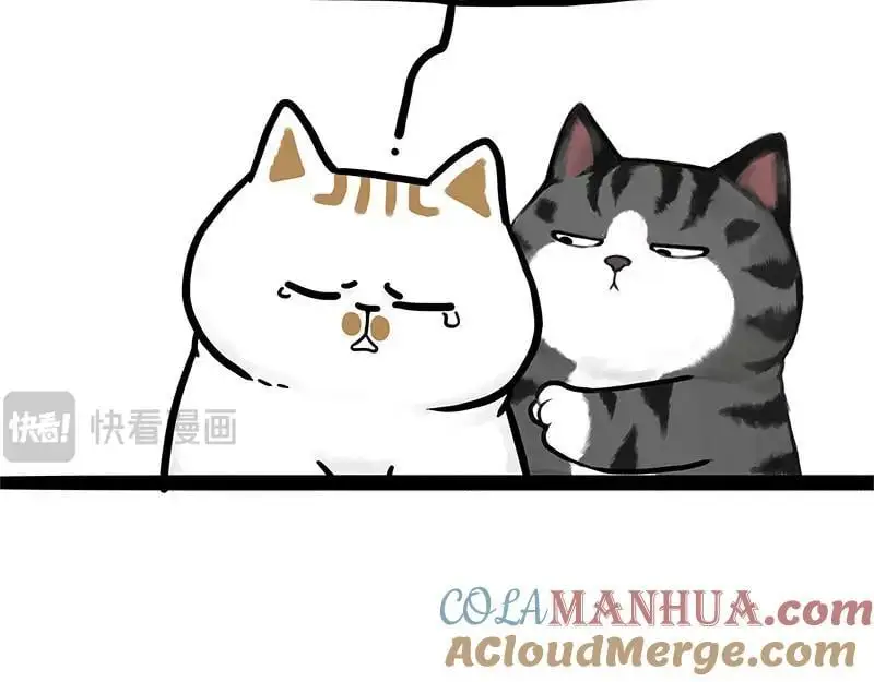 第402话 送走！所有！63