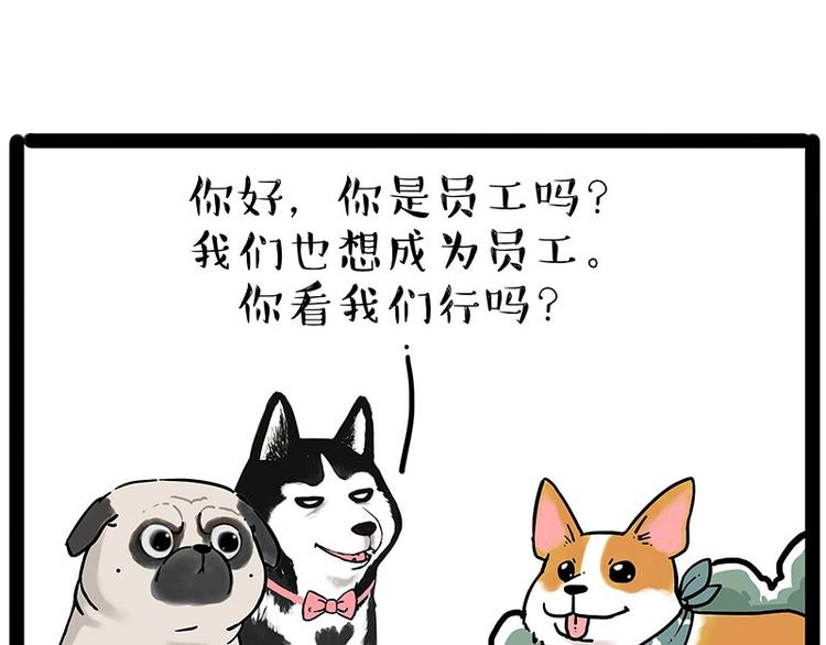 第194话 生活不易，猫狗打工13