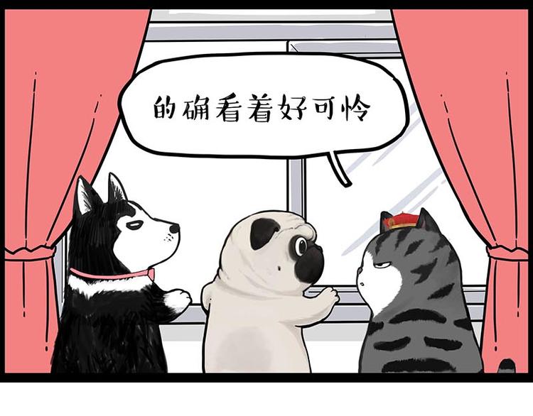 第243话 社会性死亡48