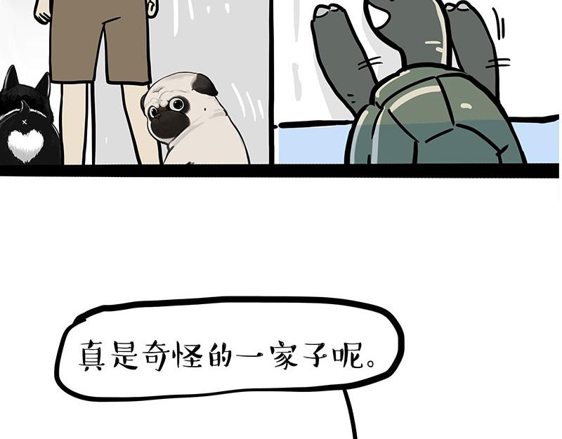 第299话 真假虚实58