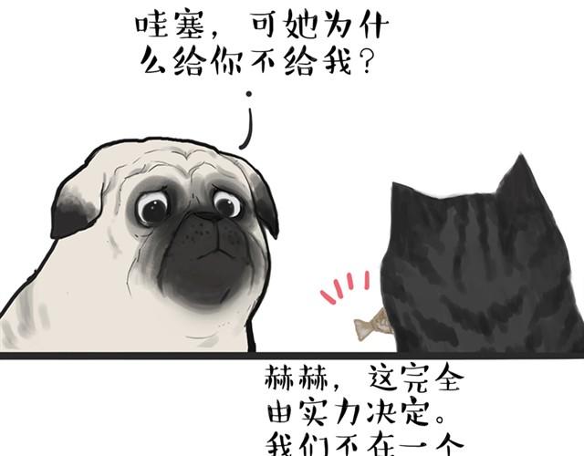 第13话 不想理这个恋脚癖9