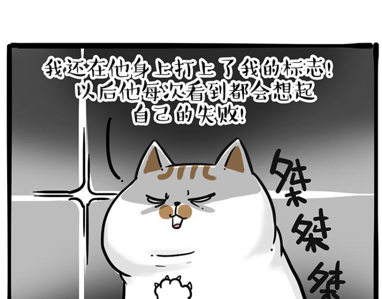 第290话 凶恶猫猫组织65