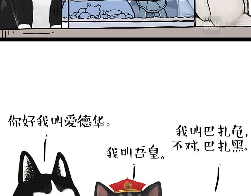 第299话 真假虚实5