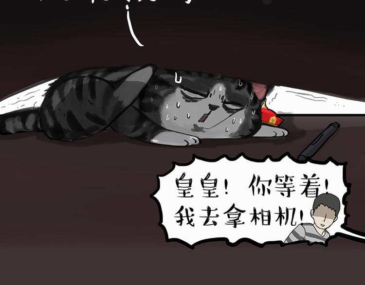 第138话 来人救驾40