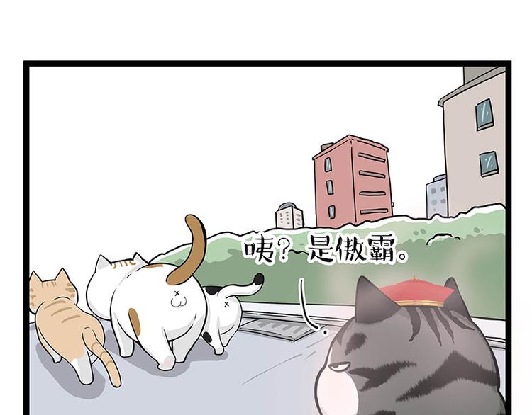 第284话 美喵竟是我自己10