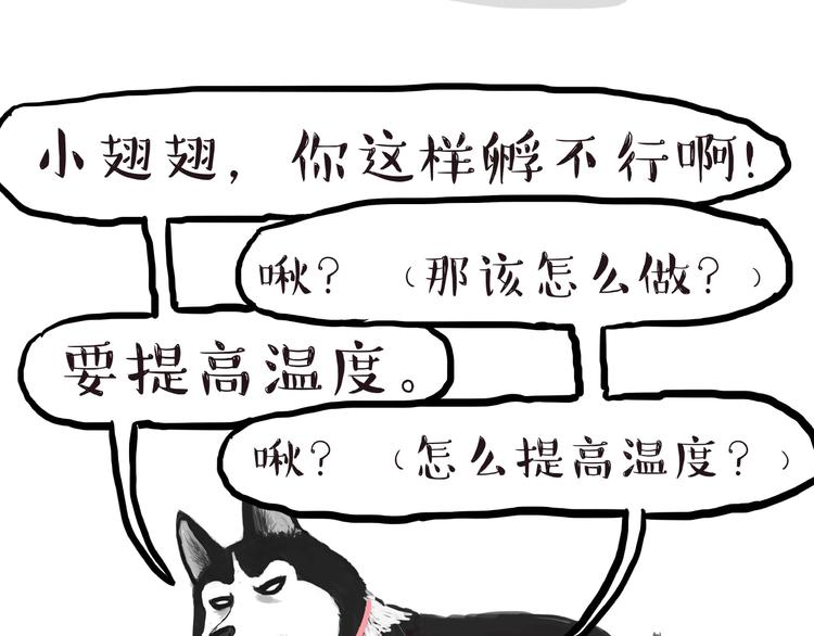 第157话 一颗蛋蛋23