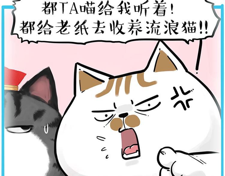 第249话 黑黑快跑！39