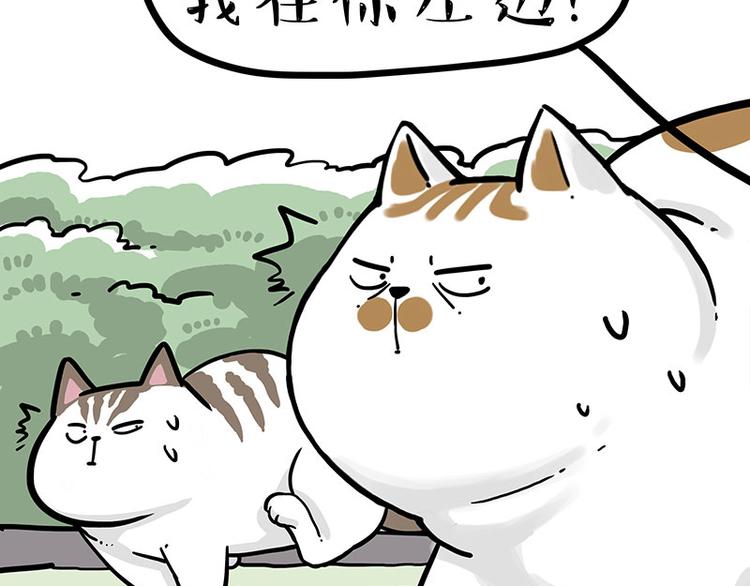 第271话 进击的流浪猫！45