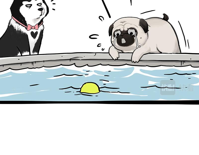 第337话 下辈子报仇17