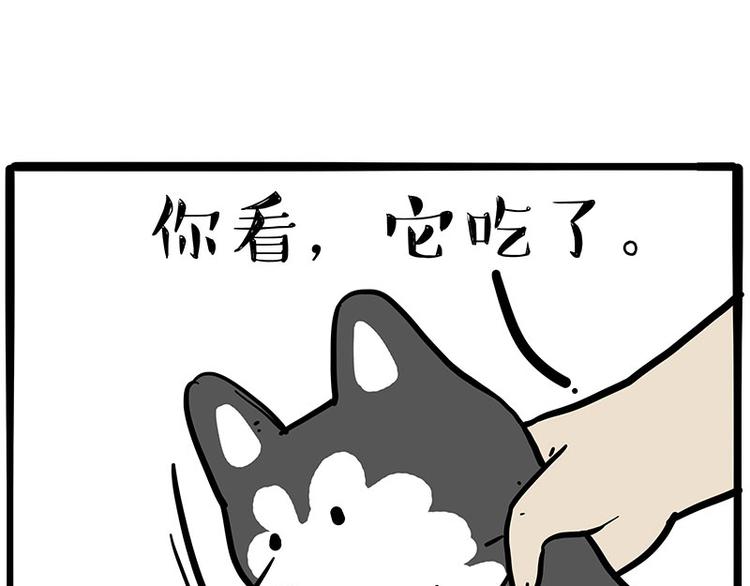 第253话 与狗争饭40