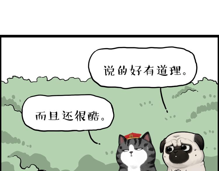 第267话 不让你流浪82