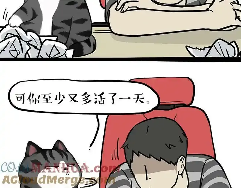 第382话 开心就好18