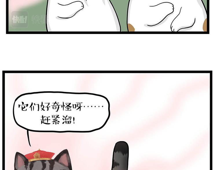 第284话 美喵竟是我自己21