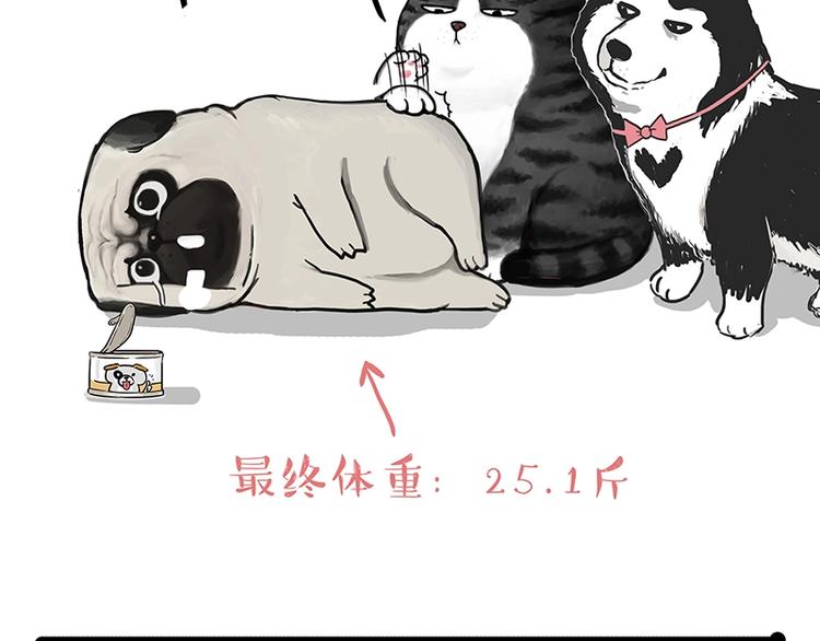 第200话 可疑！28