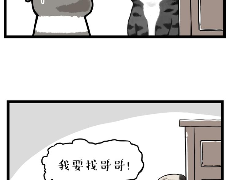 第267话 不让你流浪51