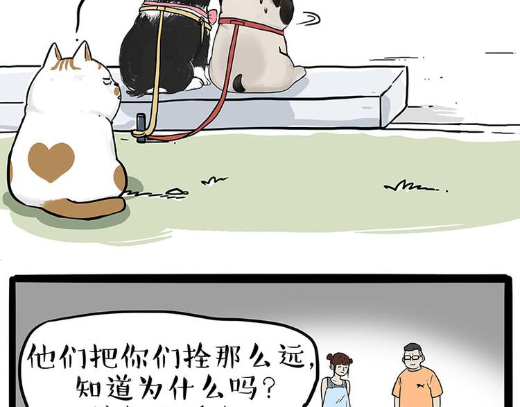 第223话 狗知识增加了10
