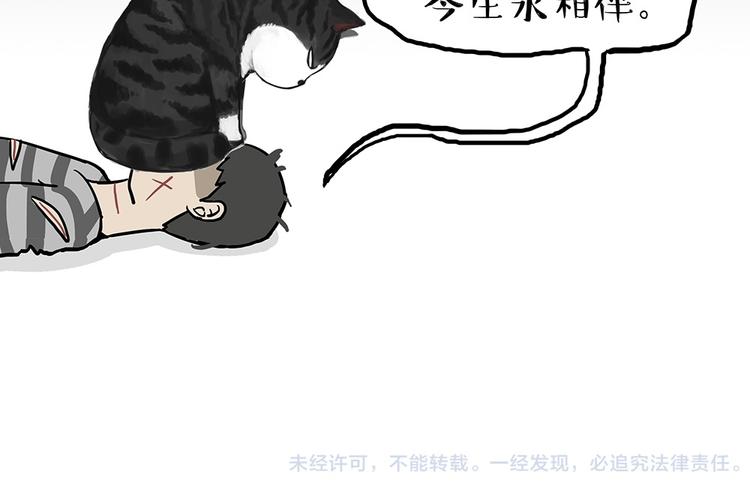 第52话 宠物的使命20