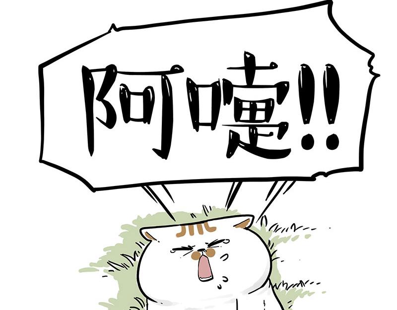 第339话 傲霸，上岸了！70