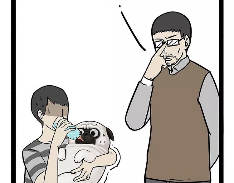 第169话 巴扎黑中毒了？！14
