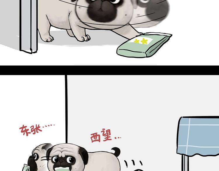 第181话 零食风波与蟑螂风波5