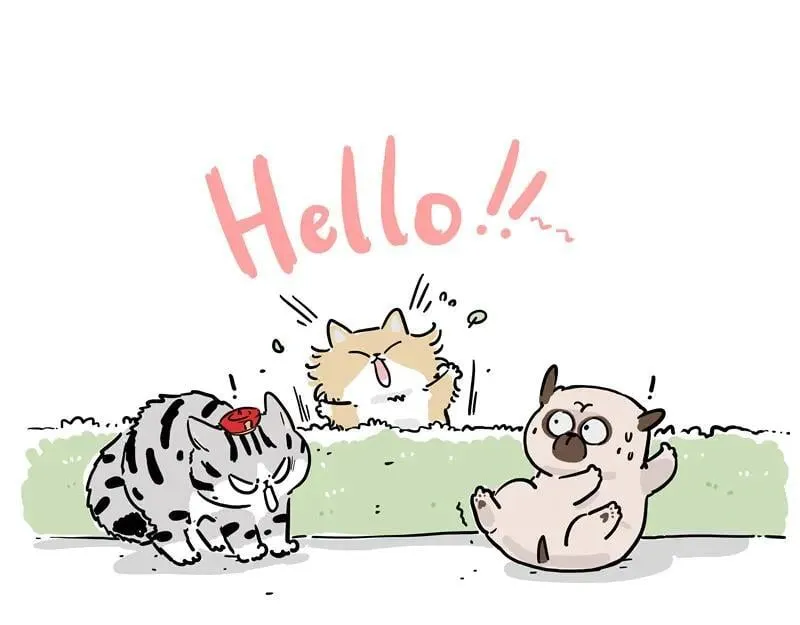 第424话 话痨小猫2
