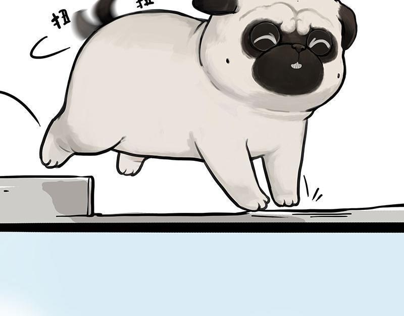 第369话 老天爷的答案35