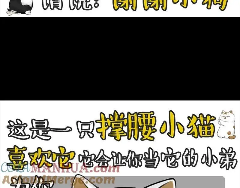 第399话 NPC20