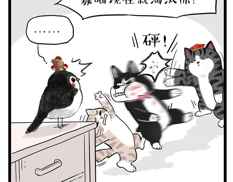 第254话 摔角大赛谁与争锋47