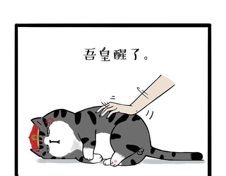 第172话 少年大改造？27