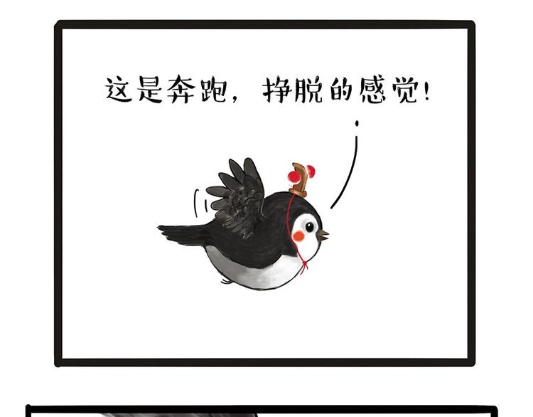 第168话 翅中历险记1