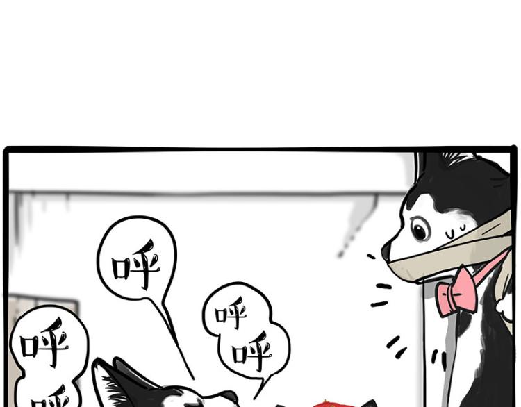 第288话 冒牌货，拿来吧你！58
