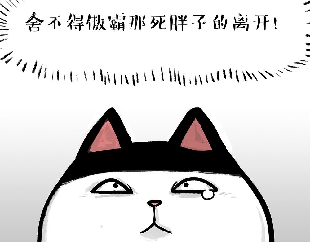 第331话 猫王争霸之“杀青”53