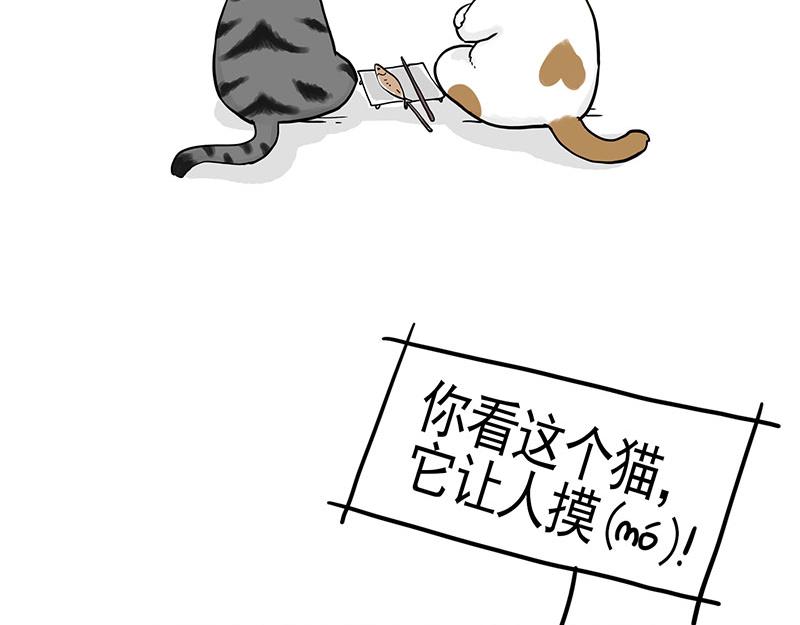 第322话 吾皇的孙子9