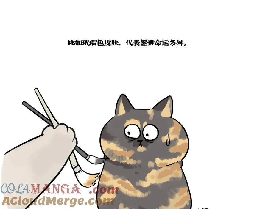 第422话 永远号72