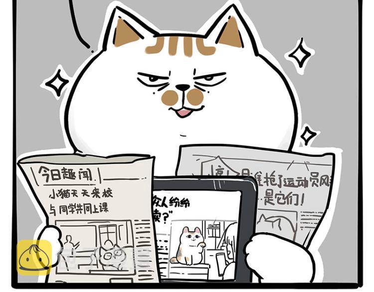 第290话 凶恶猫猫组织50