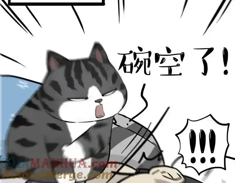 第381话 “生物钟”38