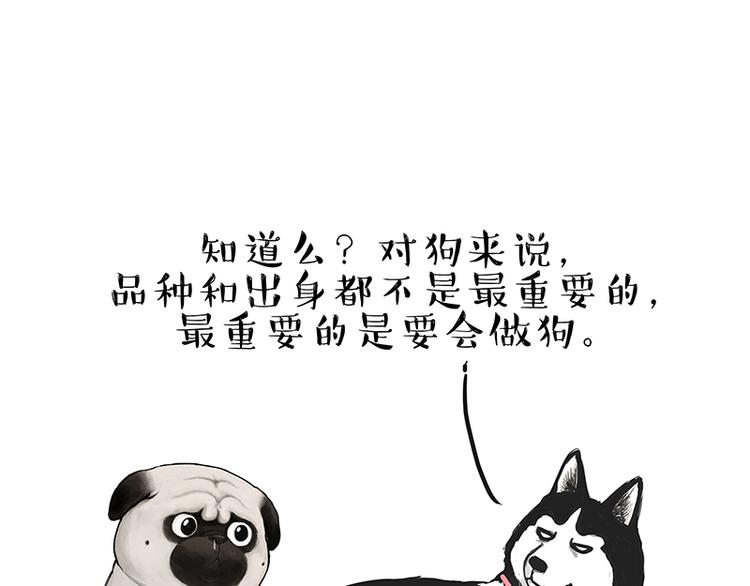 第137话 泪水，止不住15
