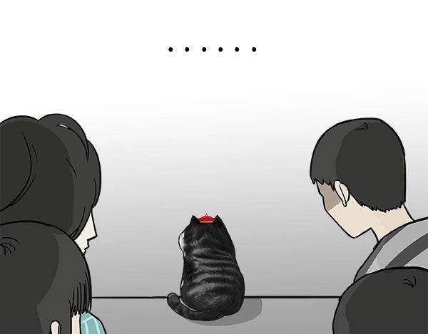 第113话 牛牪犇出场（下）3
