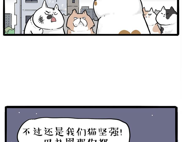 第235话 是亲生的没错吧？73
